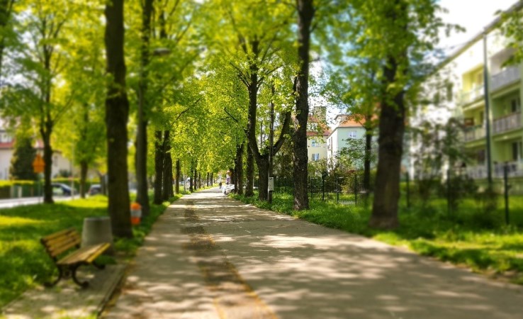 mieszkanie na wynajem - Gliwice, Plac Grunwaldzki, Aleja Adama Mickiewicza