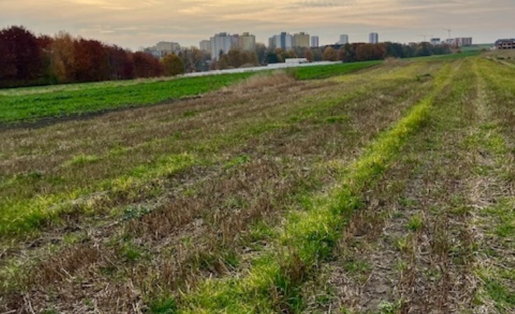 działka na sprzedaż - Gliwice, Wójtowa Wieś
